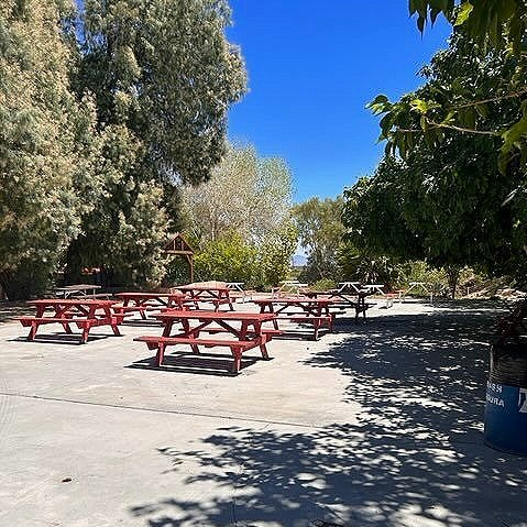 Multiple red picnic tables arranged in an outdoor setting with trees in the background.